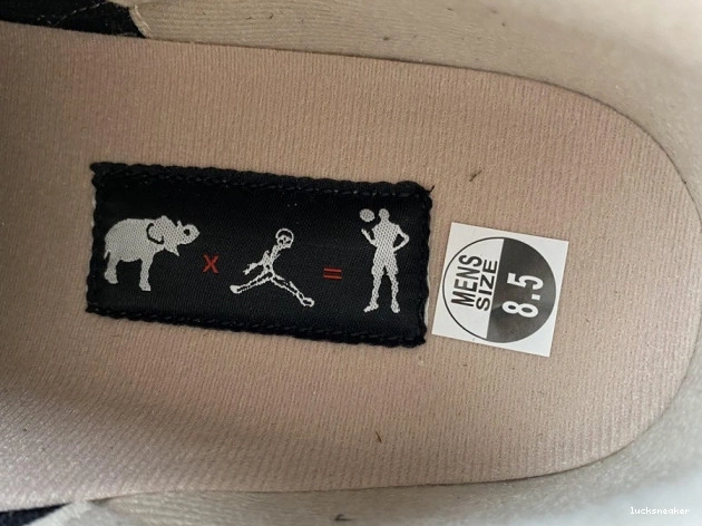 Reps LUCY Air CT8532-008 Jordan Elephant Desert 3 0715